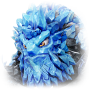 北海魔王水魔天